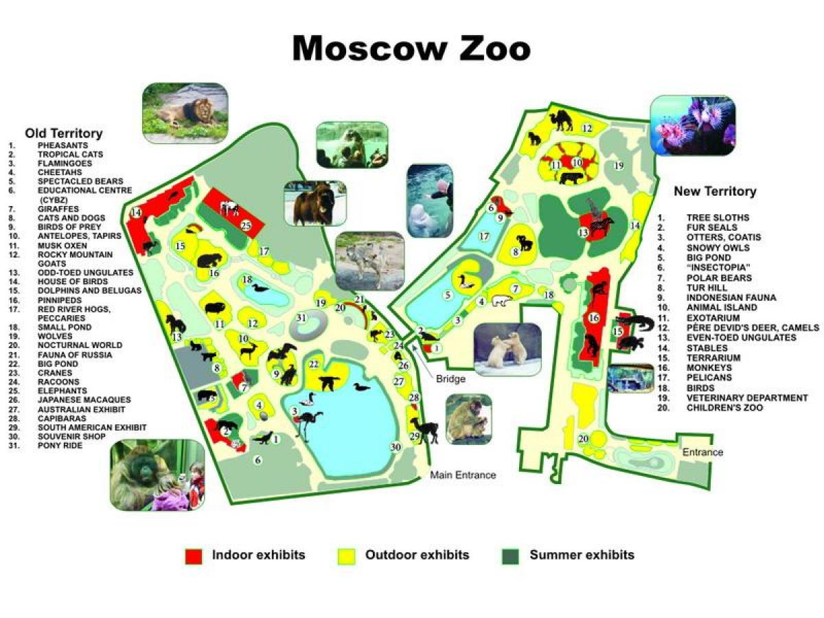 地图上的莫斯科动物园